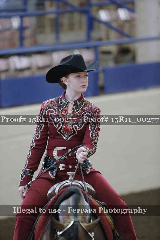 Proof Number 15R11_00277