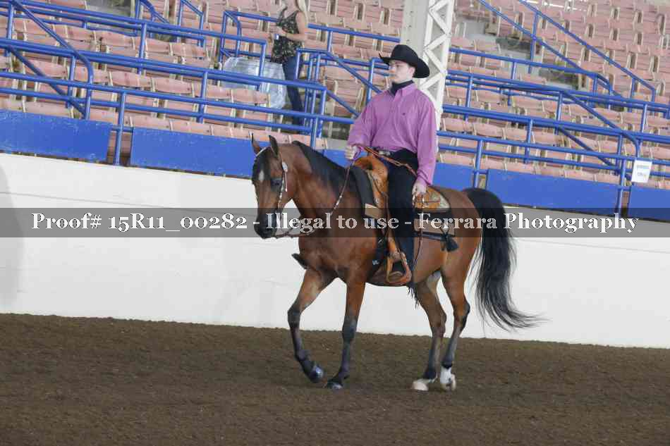Proof Number 15R11_00282