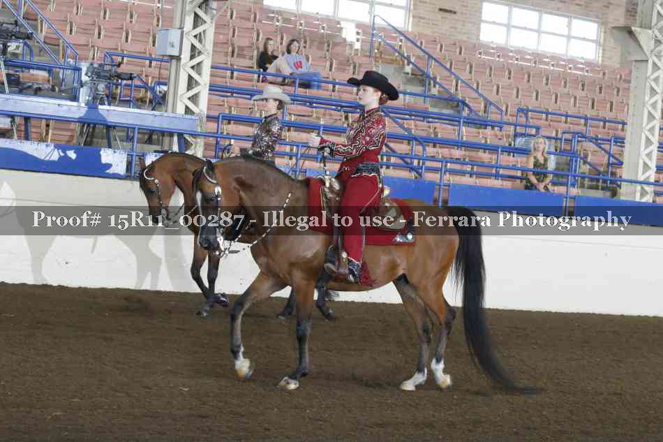 Proof Number 15R11_00287