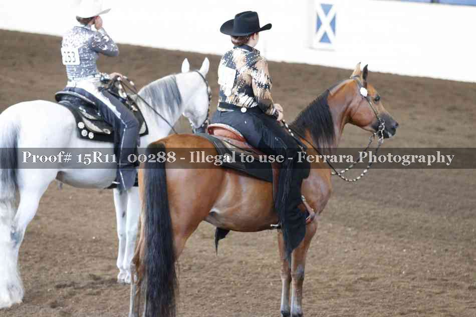 Proof Number 15R11_00288