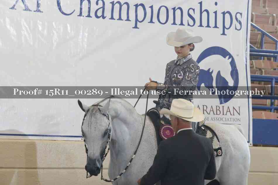 Proof Number 15R11_00289