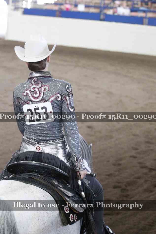 Proof Number 15R11_00290