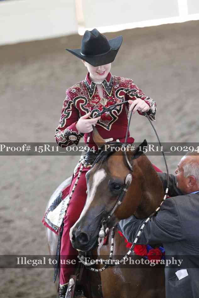 Proof Number 15R11_00294