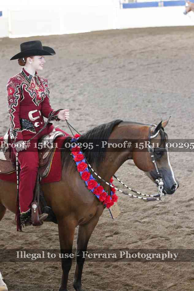 Proof Number 15R11_00295