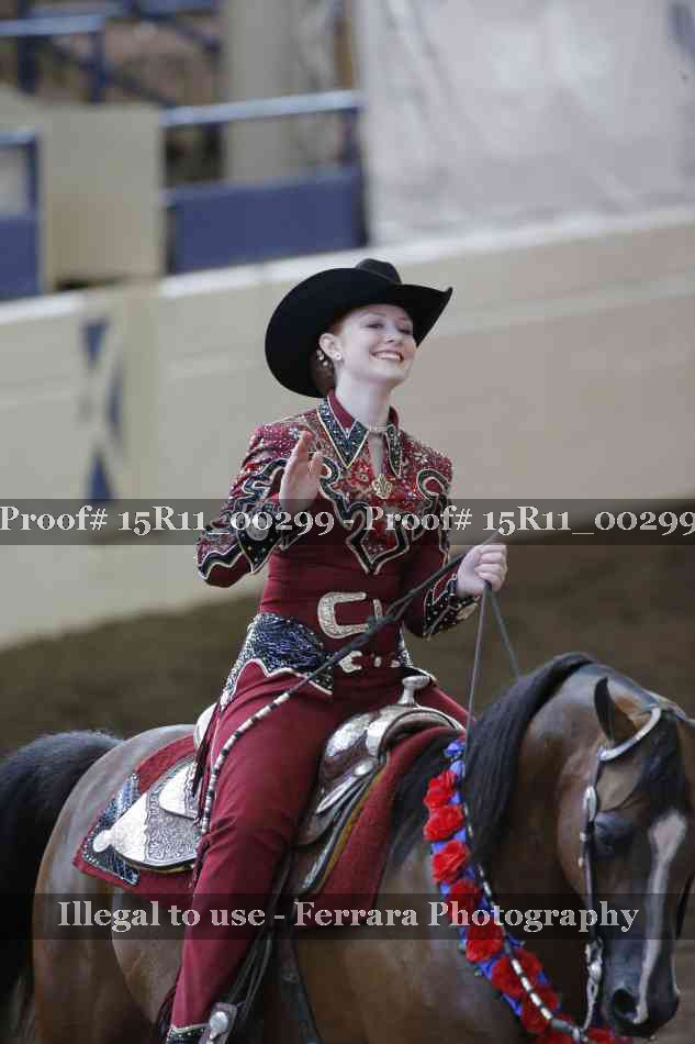 Proof Number 15R11_00299
