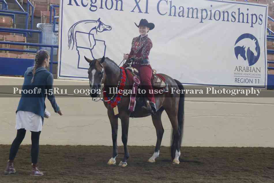 Proof Number 15R11_00302