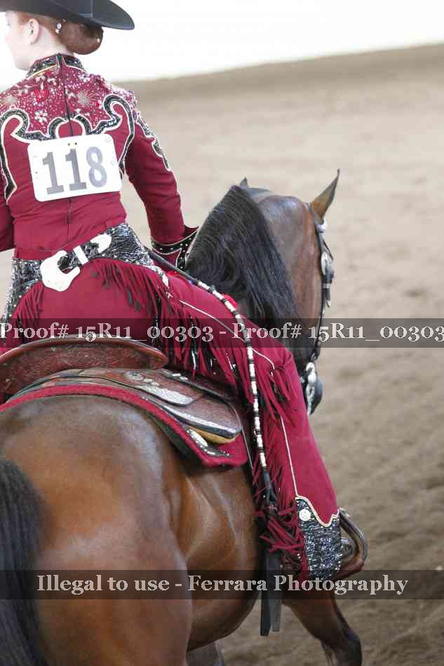 Proof Number 15R11_00303