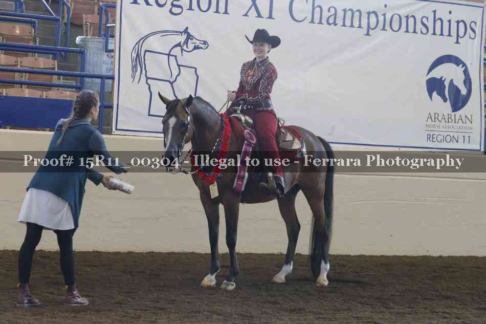 Proof Number 15R11_00304