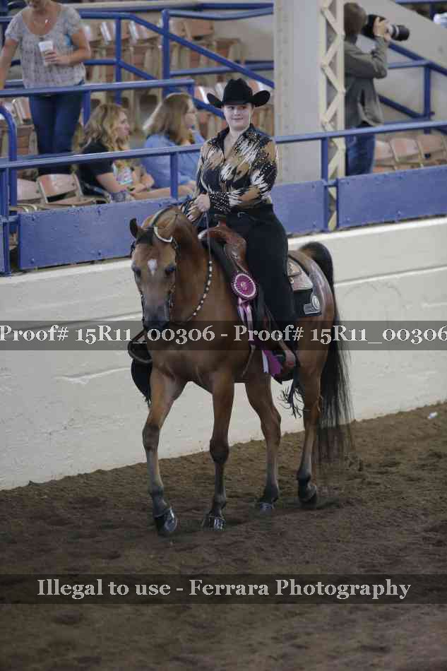 Proof Number 15R11_00306