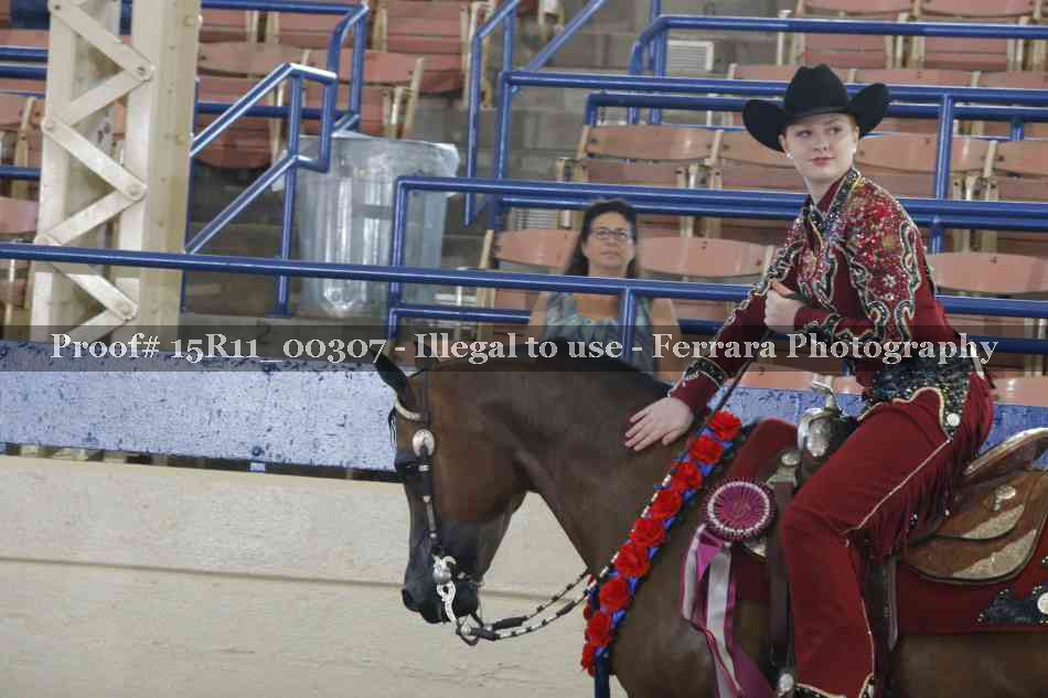 Proof Number 15R11_00307