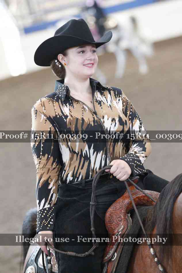 Proof Number 15R11_00309