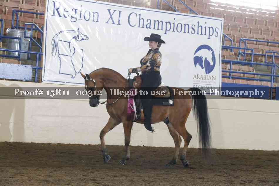 Proof Number 15R11_00312
