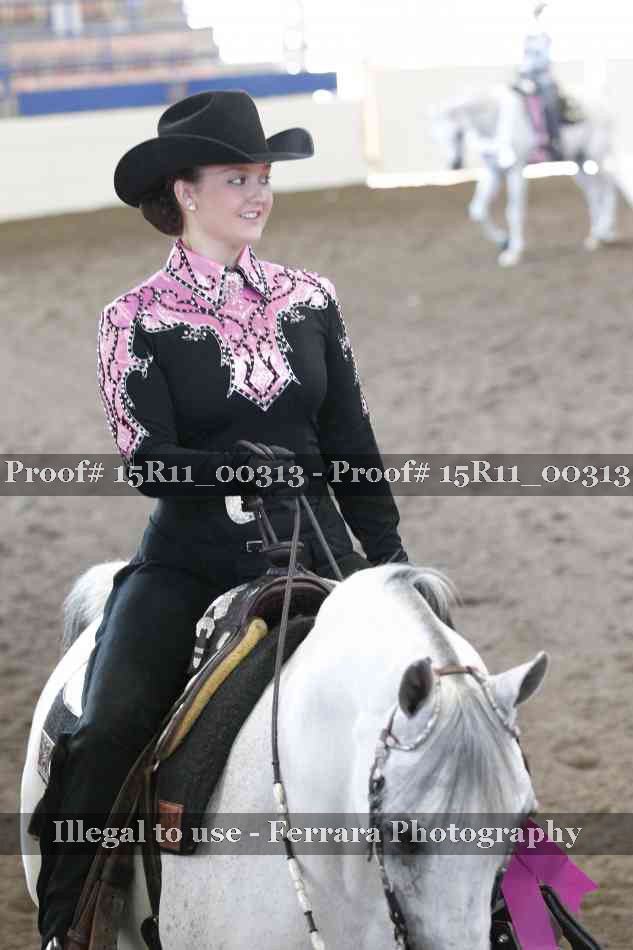 Proof Number 15R11_00313