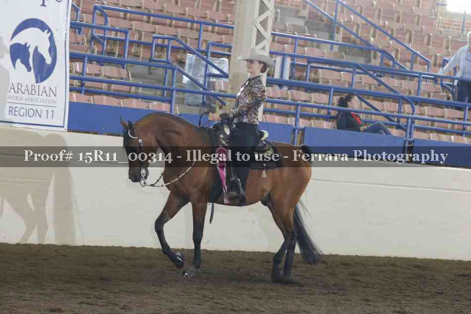 Proof Number 15R11_00314