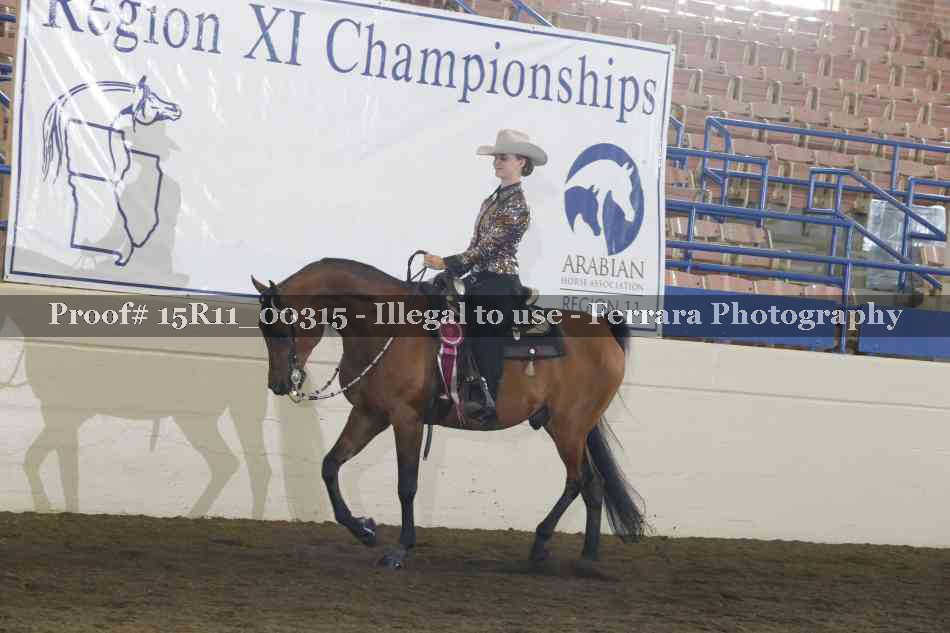 Proof Number 15R11_00315