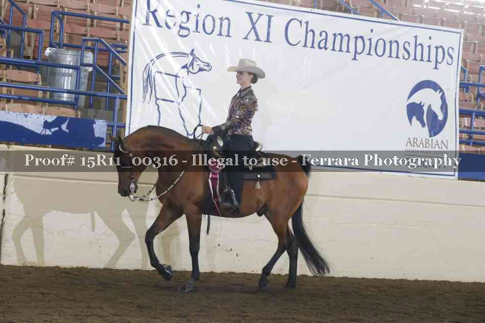 Proof Number 15R11_00316