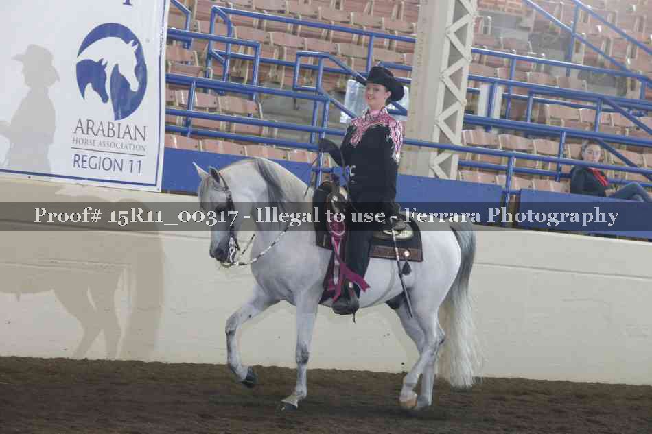 Proof Number 15R11_00317