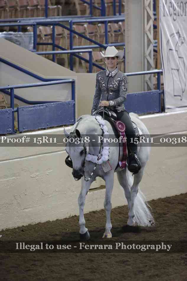 Proof Number 15R11_00318