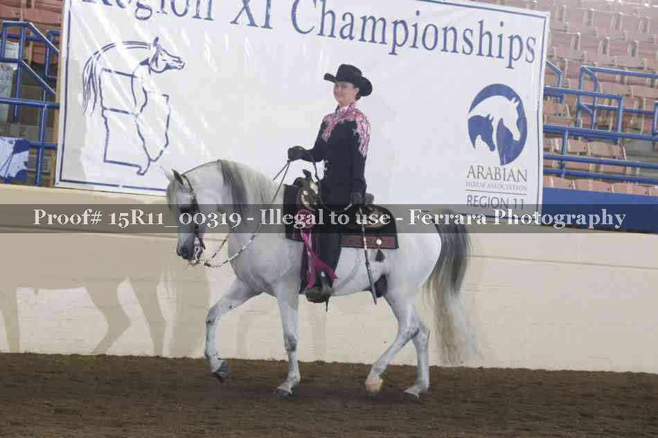 Proof Number 15R11_00319