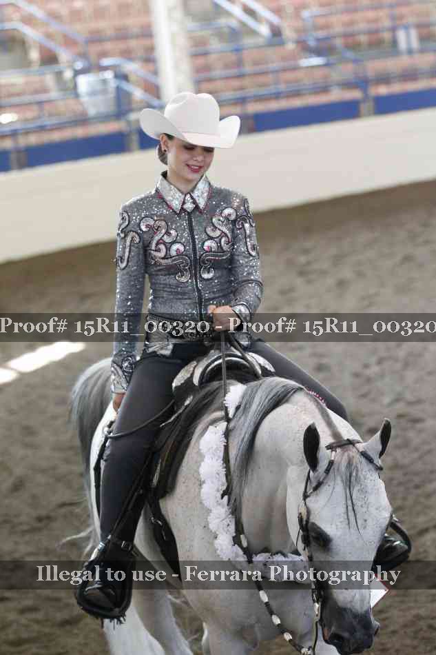 Proof Number 15R11_00320