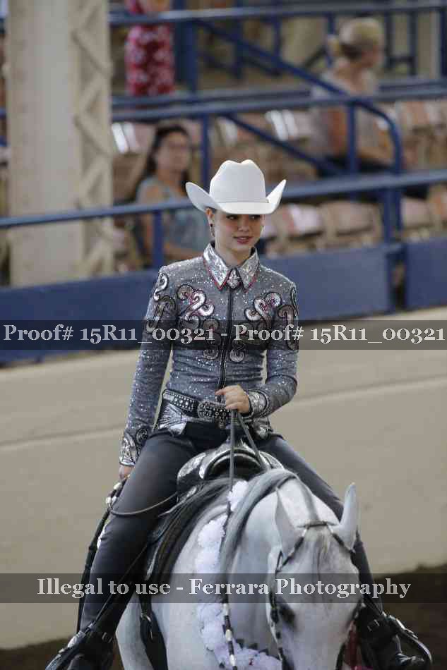 Proof Number 15R11_00321
