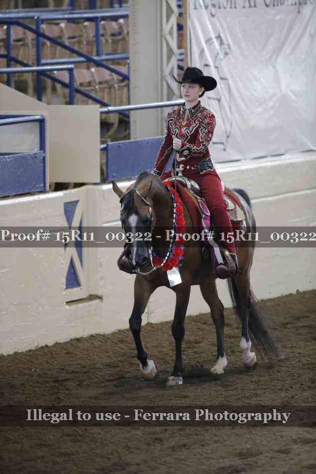 Proof Number 15R11_00322