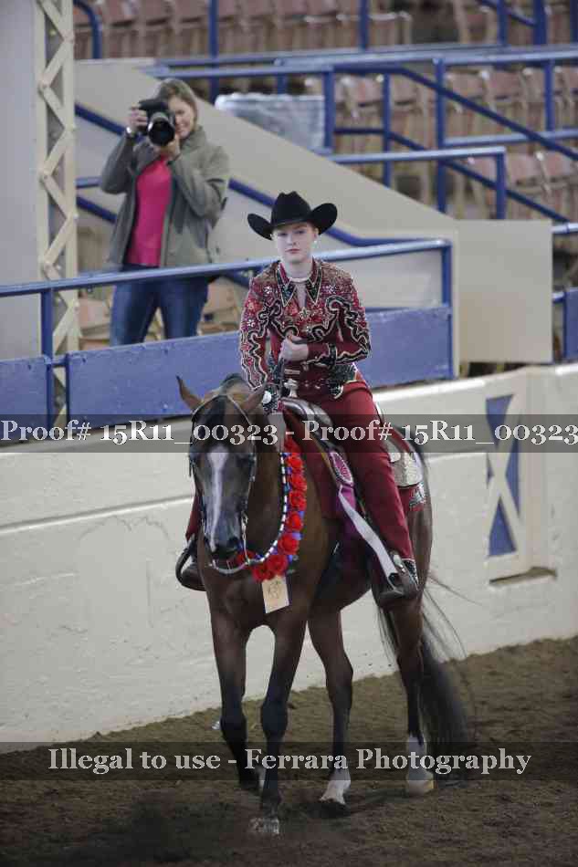 Proof Number 15R11_00323