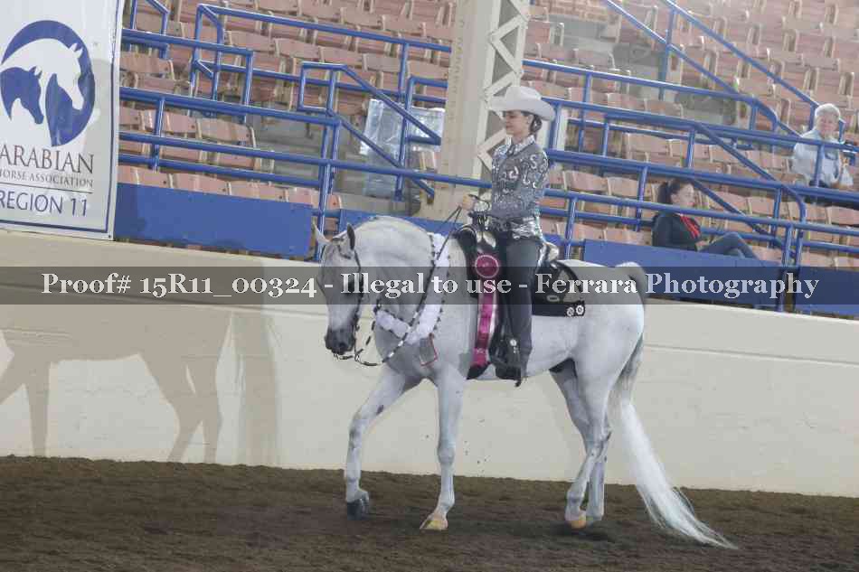 Proof Number 15R11_00324