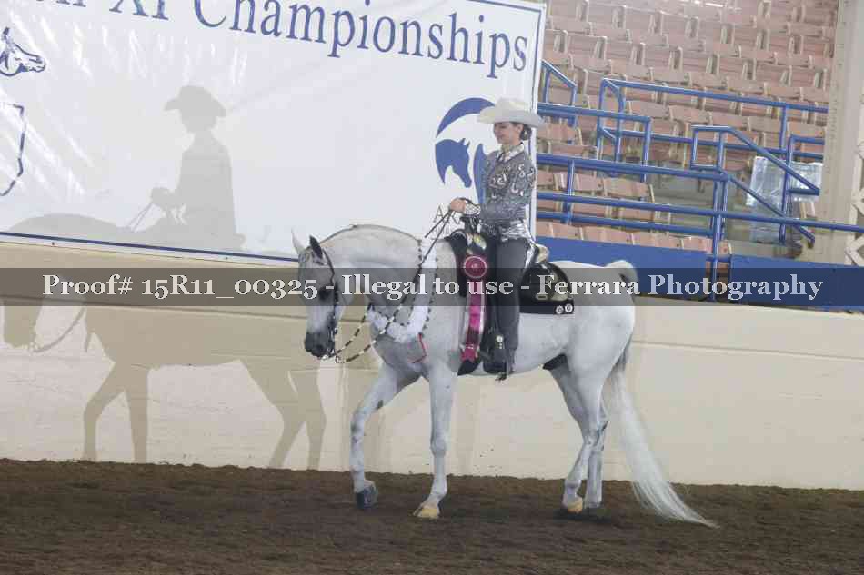 Proof Number 15R11_00325