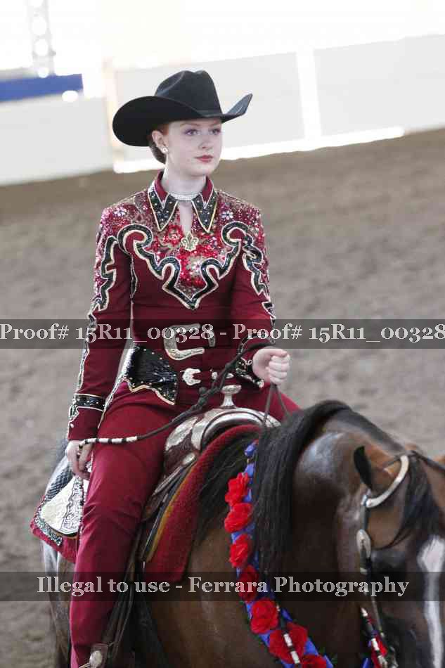 Proof Number 15R11_00328