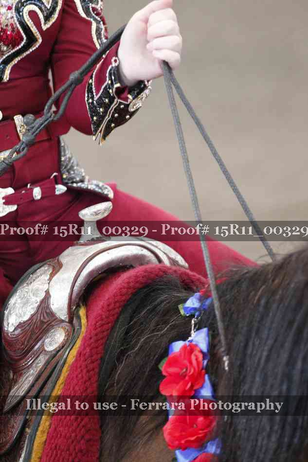 Proof Number 15R11_00329