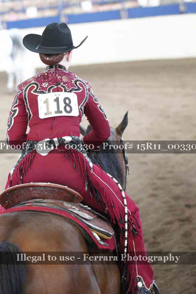 Proof Number 15R11_00330