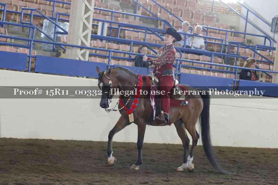 Proof Number 15R11_00332