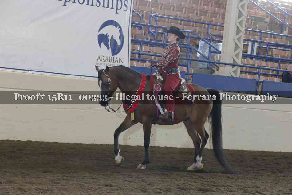 Proof Number 15R11_00333