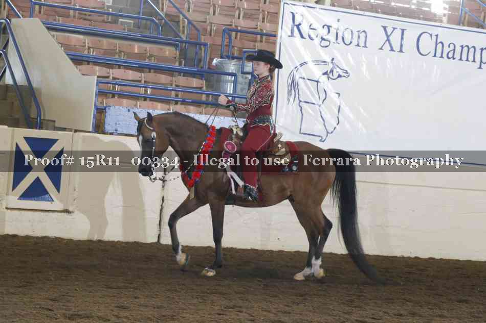 Proof Number 15R11_00334