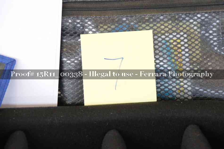 Proof Number 15R11_00338