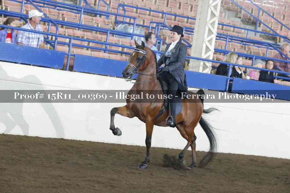 Proof Number 15R11_00369