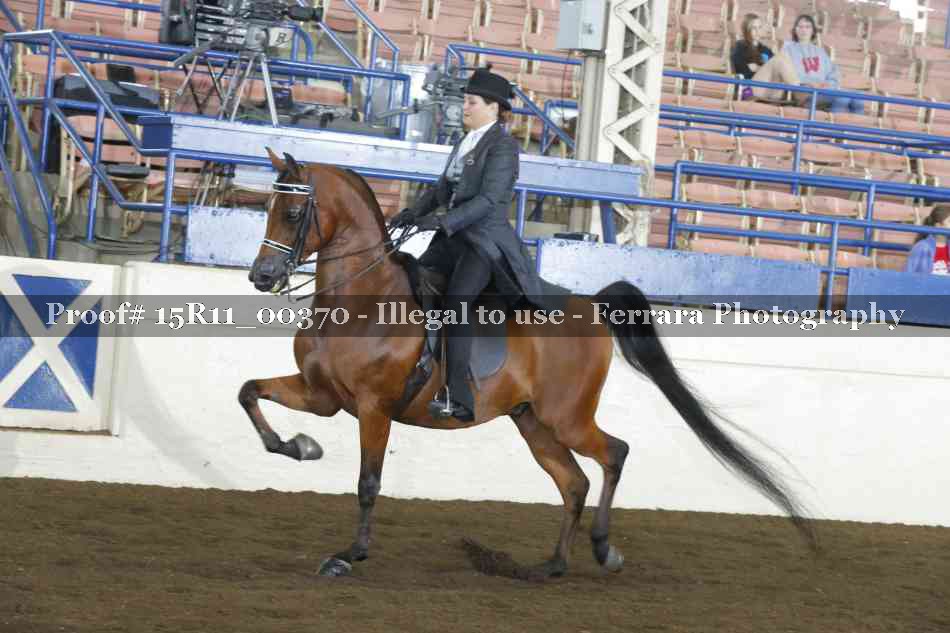 Proof Number 15R11_00370