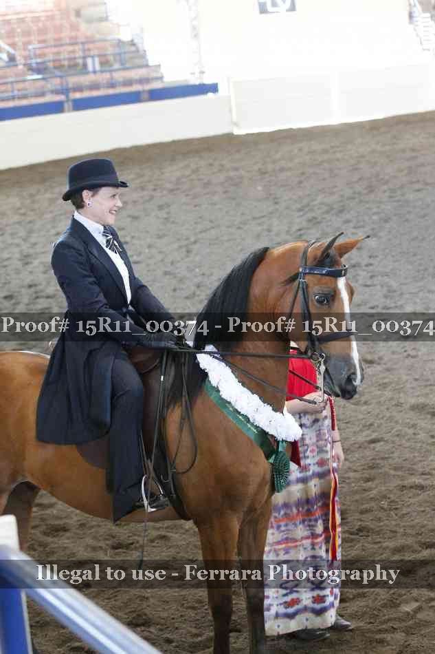 Proof Number 15R11_00374