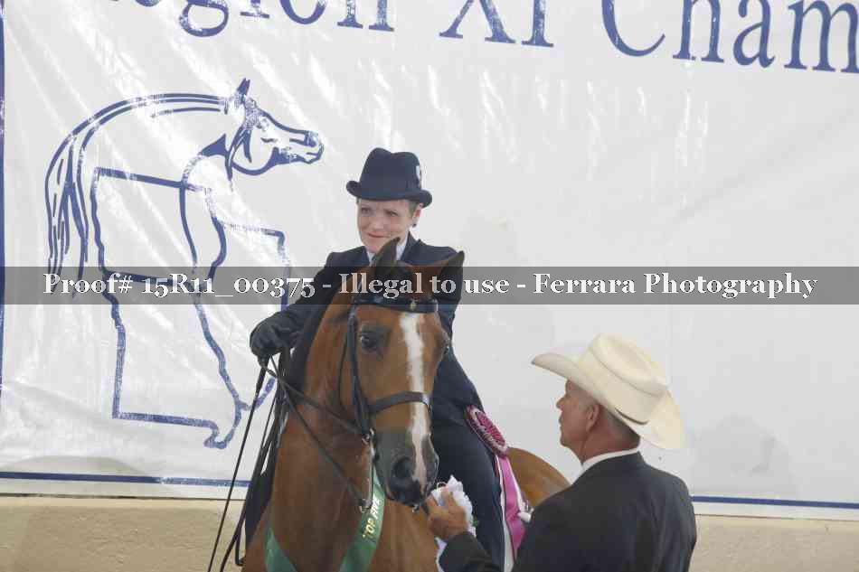 Proof Number 15R11_00375
