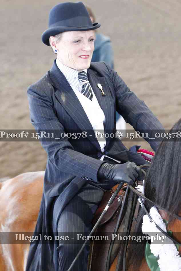 Proof Number 15R11_00378