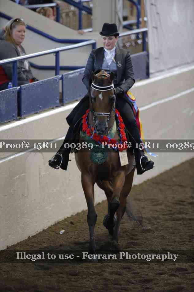 Proof Number 15R11_00389