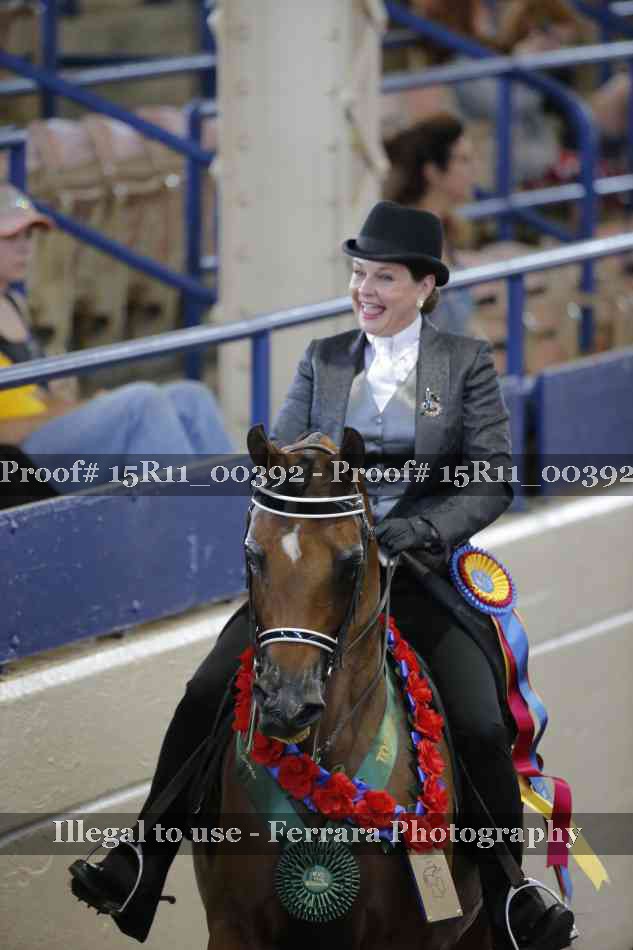 Proof Number 15R11_00392