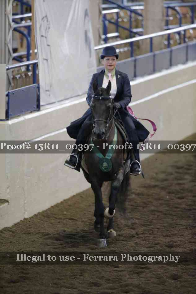 Proof Number 15R11_00397