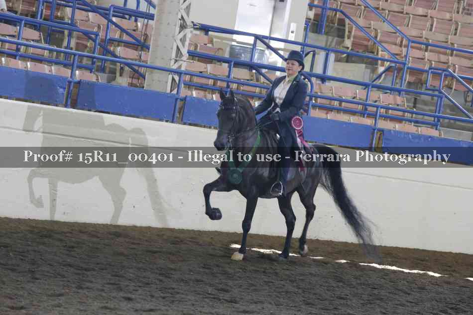 Proof Number 15R11_00401