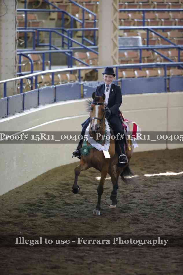 Proof Number 15R11_00405