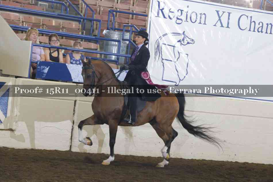 Proof Number 15R11_00411