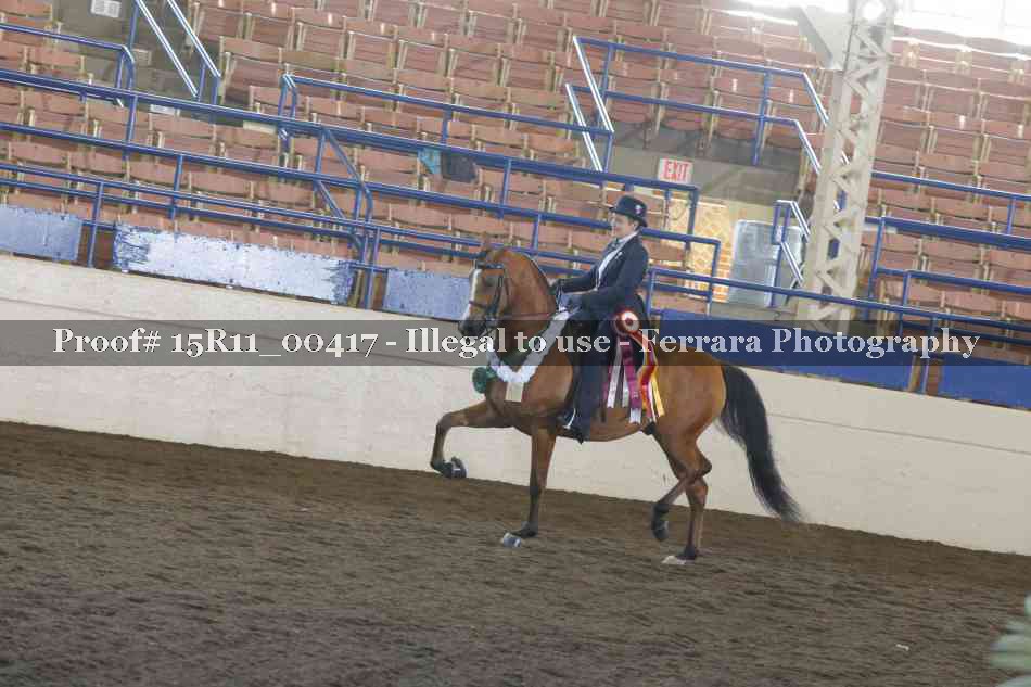 Proof Number 15R11_00417
