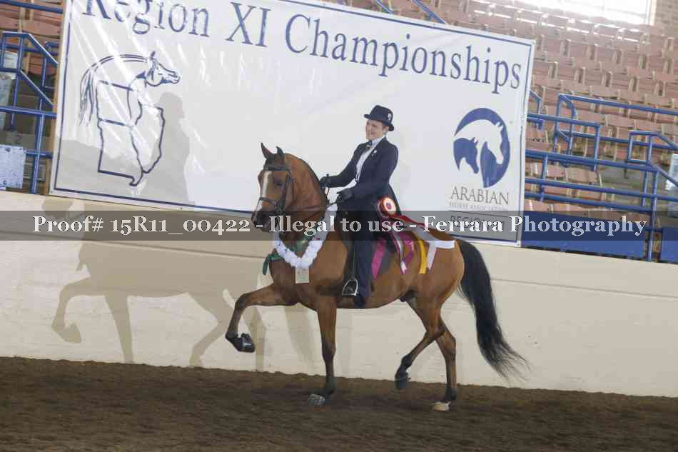 Proof Number 15R11_00422