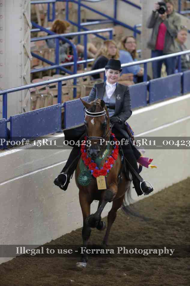 Proof Number 15R11_00423